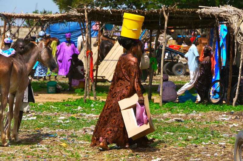 Gambia